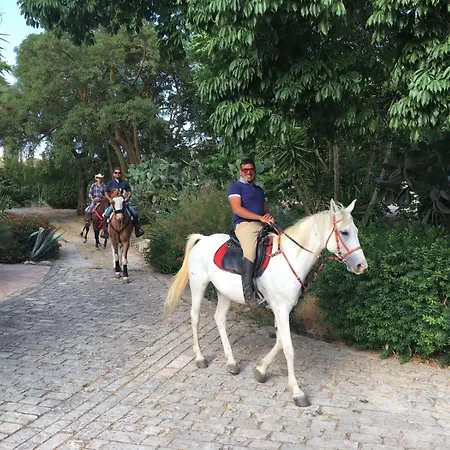 בית כפרי Tasca קלטג'ירונה