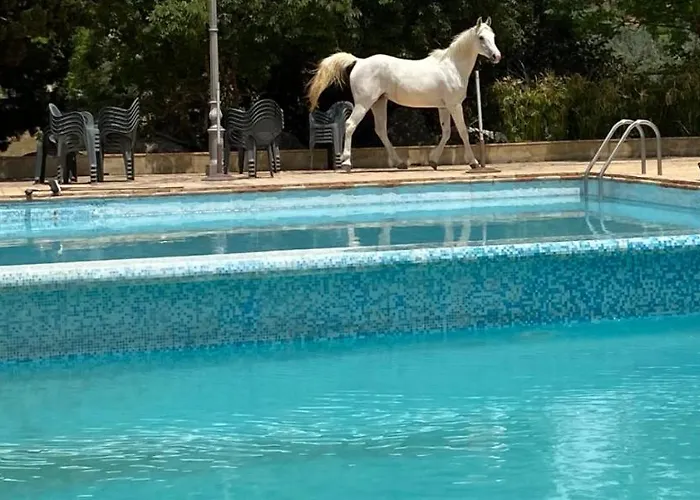 Tasca קלטג'ירונה