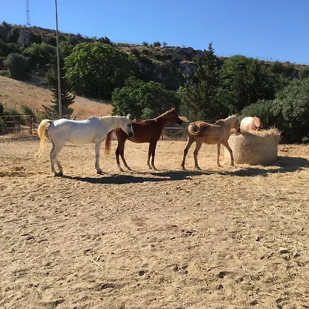 Séjour à la campagne Tasca Caltagirone
