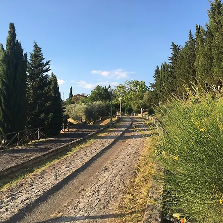 Tasca Летний дом